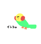 インコちゃんのスタンプです（個別スタンプ：1）