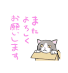 ローカルな猫（個別スタンプ：29）