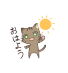 きじねこのトム（個別スタンプ：1）