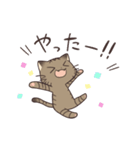 きじねこのトム（個別スタンプ：19）