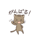 きじねこのトム（個別スタンプ：23）