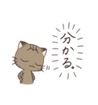 きじねこのトム（個別スタンプ：31）