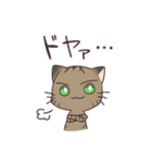 きじねこのトム（個別スタンプ：34）