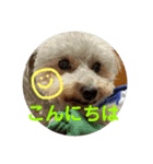 モコ♀の日常～敬語編～（個別スタンプ：2）