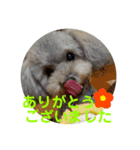 モコ♀の日常～敬語編～（個別スタンプ：4）