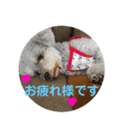 モコ♀の日常～敬語編～（個別スタンプ：6）