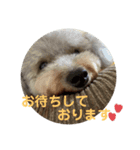 モコ♀の日常～敬語編～（個別スタンプ：8）