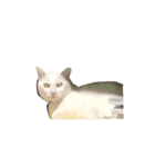 楽しい生物知識（個別スタンプ：28）
