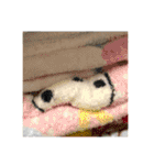 楽しい生物知識（個別スタンプ：35）