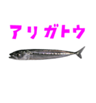 さかな B 手書き風文字（個別スタンプ：5）