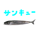 さかな B 手書き風文字（個別スタンプ：7）