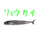 さかな B 手書き風文字（個別スタンプ：12）