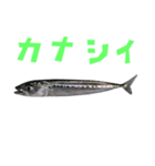 さかな B 手書き風文字（個別スタンプ：21）