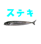 さかな B 手書き風文字（個別スタンプ：22）