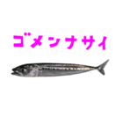 さかな B 手書き風文字（個別スタンプ：26）