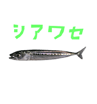 さかな B 手書き風文字（個別スタンプ：27）