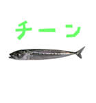 さかな B 手書き風文字（個別スタンプ：33）