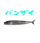 さかな B 手書き風文字（個別スタンプ：34）