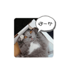 うめちゃんスタンプなのだ！（個別スタンプ：4）