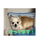 ミルの大冒険！（個別スタンプ：4）