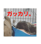ミルの大冒険！（個別スタンプ：5）