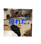 ミルの大冒険！（個別スタンプ：6）