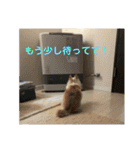 ミルの大冒険！（個別スタンプ：23）