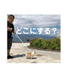 ミルの大冒険！（個別スタンプ：28）