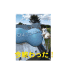 ミルの大冒険！（個別スタンプ：30）