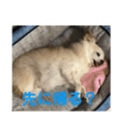 ミルの大冒険！（個別スタンプ：32）