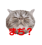 ぶりたまん2（個別スタンプ：2）