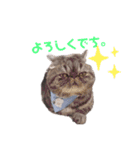 ぶりたまん2（個別スタンプ：11）