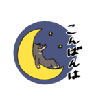 雑種犬のあきさん2（個別スタンプ：2）