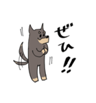 雑種犬のあきさん2（個別スタンプ：8）