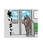 雑種犬のあきさん2（個別スタンプ：9）