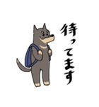 雑種犬のあきさん2（個別スタンプ：10）