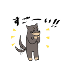 雑種犬のあきさん2（個別スタンプ：13）