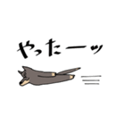 雑種犬のあきさん2（個別スタンプ：18）