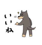 雑種犬のあきさん2（個別スタンプ：20）