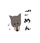 雑種犬のあきさん2（個別スタンプ：26）