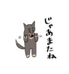 雑種犬のあきさん2（個別スタンプ：39）