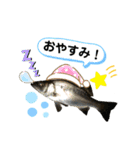 Rikuの釣り好きスタンプ（個別スタンプ：4）