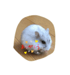 ハムスターのしらちゃんとサフィー（個別スタンプ：14）