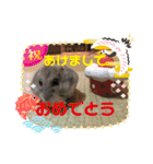 ハムスターのしらちゃんとサフィー（個別スタンプ：16）