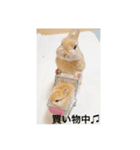 普段使いできるウサギのスタンプ（個別スタンプ：3）