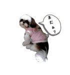 我が家のもじゃ 2（個別スタンプ：9）