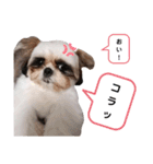 我が家のもじゃ 2（個別スタンプ：12）