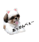 我が家のもじゃ 2（個別スタンプ：13）