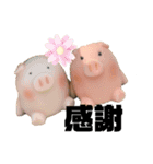 ぶーちゃん＆ぷーこ のなかよし語録（個別スタンプ：16）
