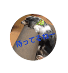 ソアラの日常4（個別スタンプ：11）